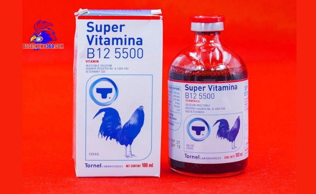 Bổ sung vitamin B12 cho gà đá
