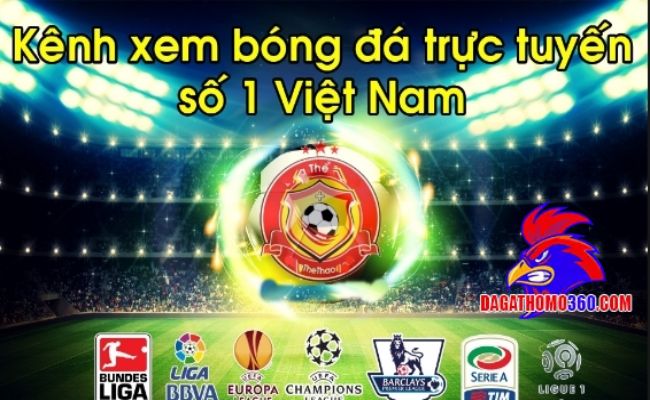 Gà Vàng TV trực tiếp bóng đá được yêu thích số 1 Việt Nam
